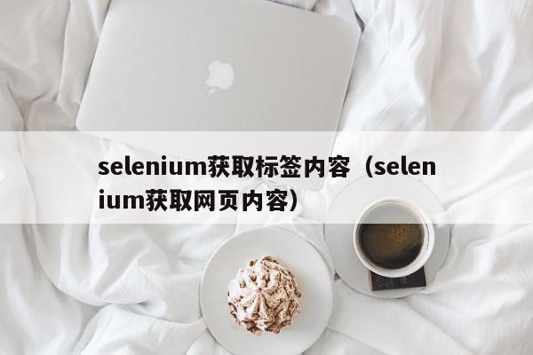 selenium获取标签内容（selenium获取网页内容）,selenium获取标签内容,信息,文章,tag,第1张
