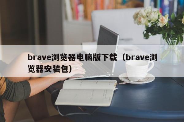 brave浏览器电脑版下载（brave浏览器安装包）