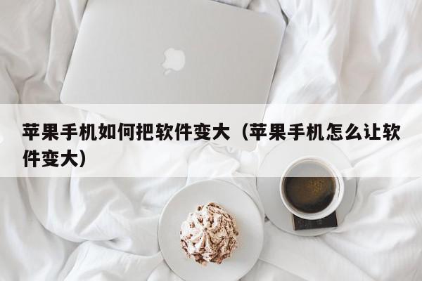 苹果手机如何把软件变大（苹果手机怎么让软件变大）