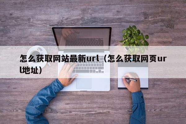 怎么获取网站最新url（怎么获取网页url地址）