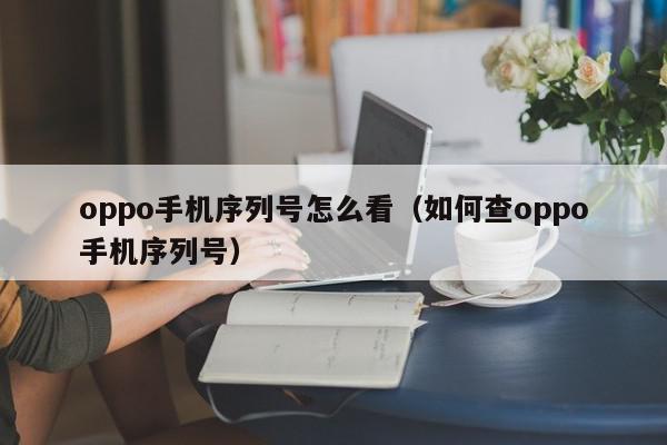 oppo手机序列号怎么看（如何查oppo手机序列号）,oppo手机序列号怎么看,信息,文章,账号,第1张