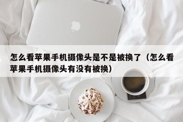 怎么看苹果手机摄像头是不是被换了（怎么看苹果手机摄像头有没有被换）,怎么看苹果手机摄像头是不是被换了,信息,文章,绿色,第1张