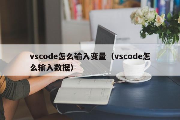 vscode怎么输入变量（vscode怎么输入数据）