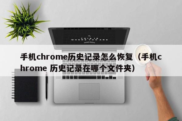 手机chrome历史记录怎么恢复（手机chrome 历史记录在哪个文件夹）