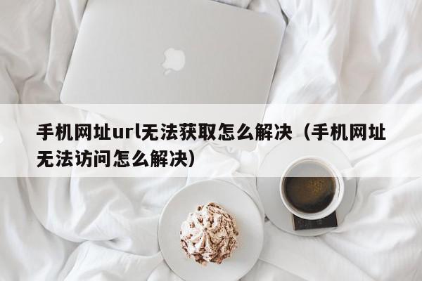 手机网址url无法获取怎么解决（手机网址无法访问怎么解决）