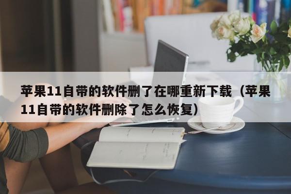 苹果11自带的软件删了在哪重新下载（苹果11自带的软件删除了怎么恢复）,苹果11自带的软件删了在哪重新下载,信息,视频,账号,第1张