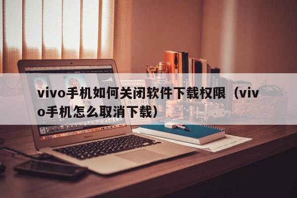 vivo手机如何关闭软件下载权限（vivo手机怎么取消下载）