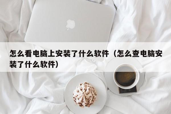 怎么看电脑上安装了什么软件（怎么查电脑安装了什么软件）