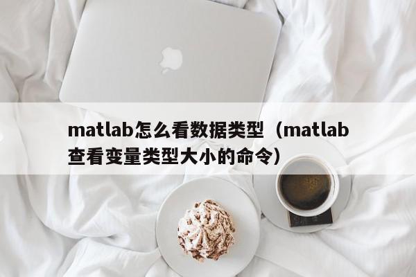 matlab怎么看数据类型（matlab查看变量类型大小的命令）