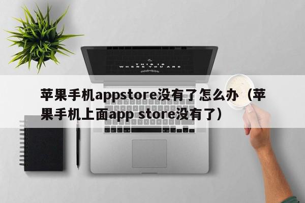 苹果手机appstore没有了怎么办（苹果手机上面app store没有了）