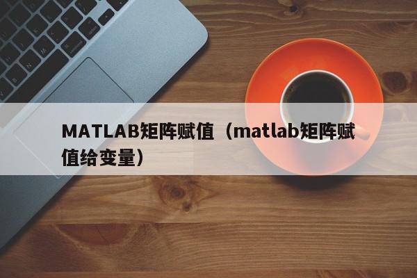 MATLAB矩阵赋值（matlab矩阵赋值给变量）