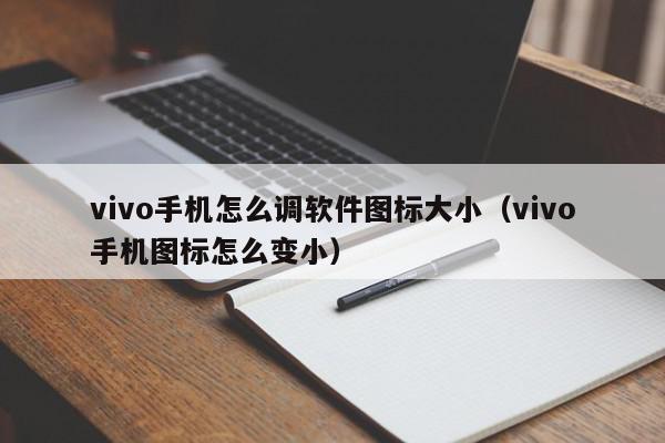 vivo手机怎么调软件图标大小（vivo手机图标怎么变小）,vivo手机怎么调软件图标大小,信息,第1张