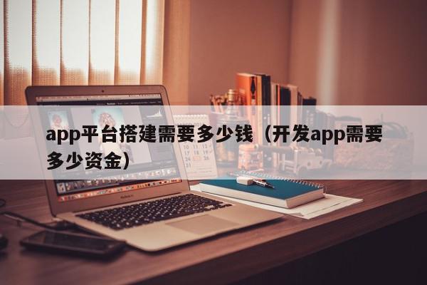 app平台搭建需要多少钱（开发app需要多少资金）