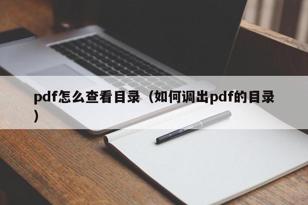 pdf怎么查看目录（如何调出pdf的目录）