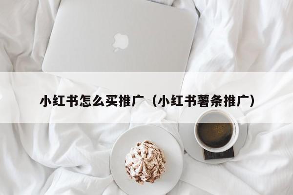 小红书怎么买推广（小红书薯条推广）,小红书怎么买推广,信息,账号,微信,第1张