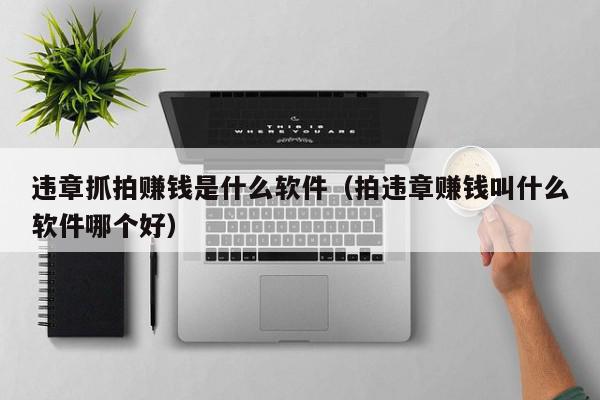 违章抓拍赚钱是什么软件（拍违章赚钱叫什么软件哪个好）,违章抓拍赚钱是什么软件,信息,文章,视频,第1张