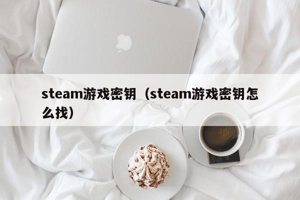 steam游戏密钥（steam游戏密钥怎么找）