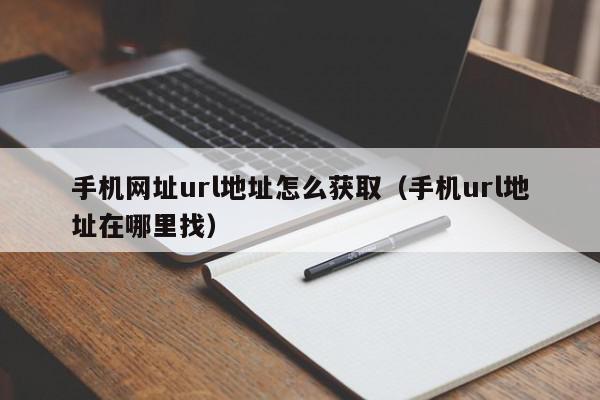 手机网址url地址怎么获取（手机url地址在哪里找）,手机网址url地址怎么获取,信息,浏览器,的网址,第1张
