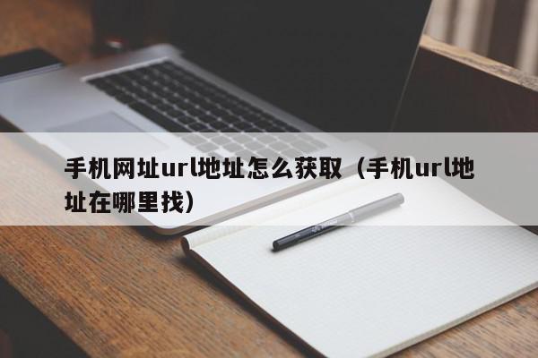 手机网址url地址怎么获取（手机url地址在哪里找）