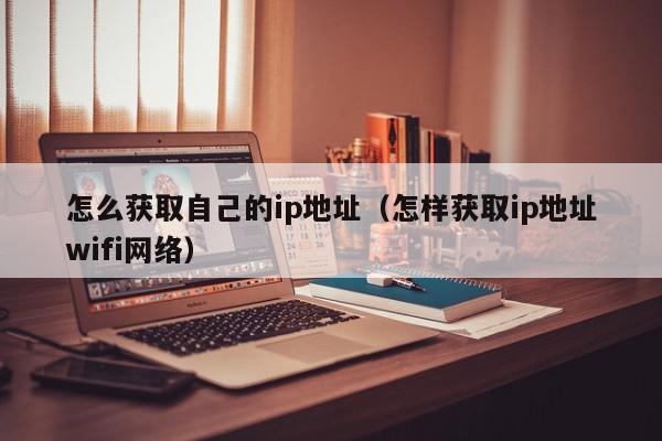 怎么获取自己的ip地址（怎样获取ip地址wifi网络）,怎么获取自己的ip地址,信息,文章,百度,第1张