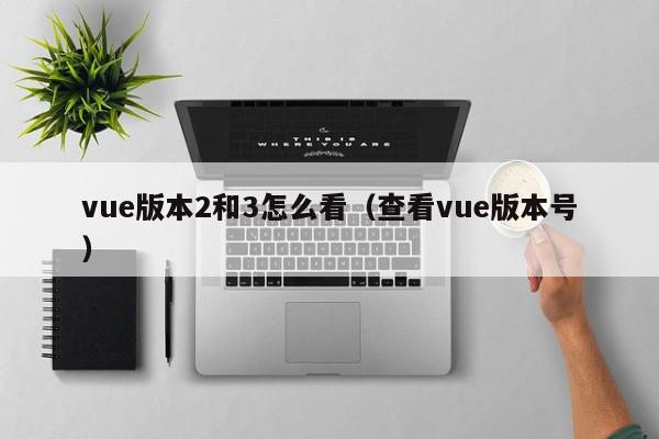 vue版本2和3怎么看（查看vue版本号）,vue版本2和3怎么看,信息,文章,响应式,第1张