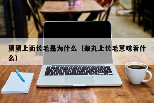 蛋蛋上面长毛是为什么（睾丸上长毛意味着什么）,蛋蛋上面长毛是为什么,信息,部位,第1张