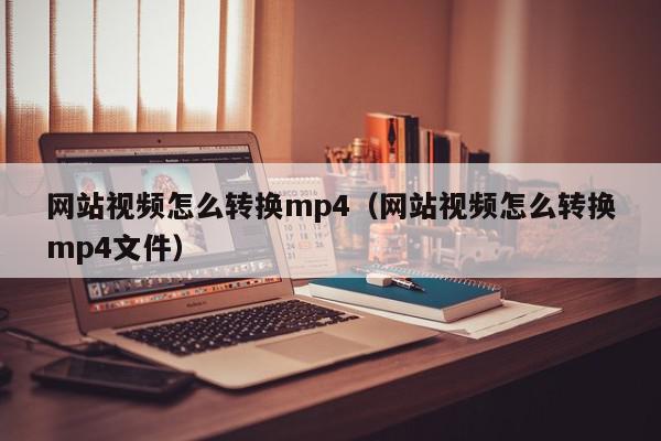 网站视频怎么转换mp4（网站视频怎么转换mp4文件）