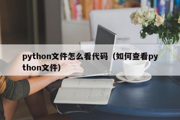 python文件怎么看代码（如何查看python文件）,python文件怎么看代码,信息,文章,小程序,第1张