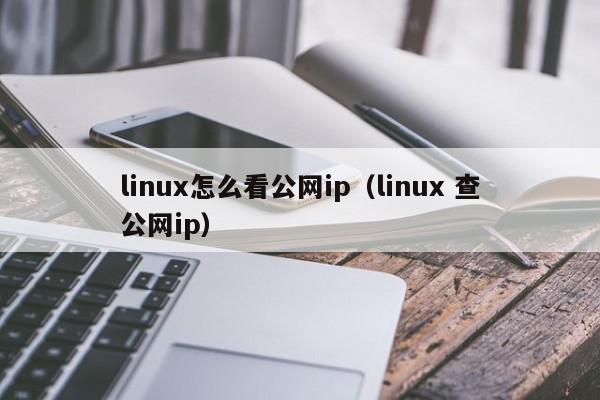 linux怎么看公网ip（linux 查公网ip）