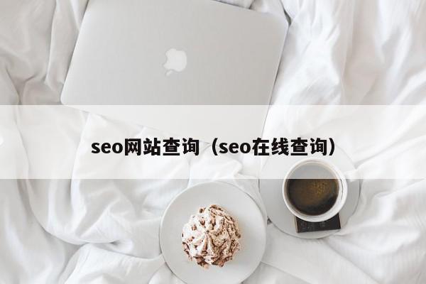seo网站查询（seo在线查询）