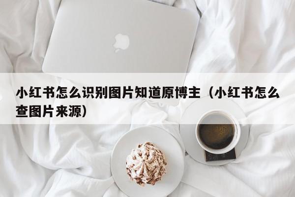 小红书怎么识别图片知道原博主（小红书怎么查图片来源）