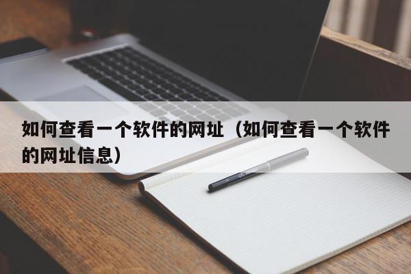 如何查看一个软件的网址（如何查看一个软件的网址信息）