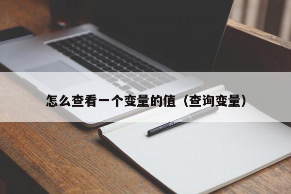 怎么查看一个变量的值（查询变量）,怎么查看一个变量的值,信息,第1张