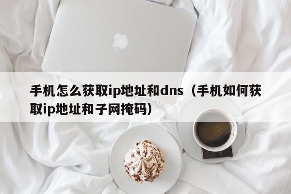 手机怎么获取ip地址和dns(手机如何获取ip地址和子网掩码),手机怎么获取ip地址和dns,信息,文章,安卓,第1张 手机怎么获取ip地址和dns(手机如何获取ip地址和子网掩码),手机怎么获取ip地址和dns,信息,文章,安卓,第1张