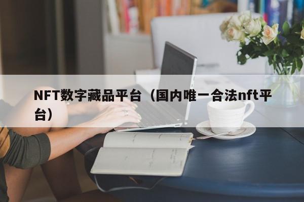 NFT数字藏品平台（国内唯一合法nft平台）,NFT数字藏品平台,信息,文章,视频,第1张