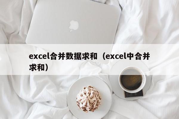 excel合并数据求和（excel中合并求和）,excel合并数据求和,信息,文章,第1张