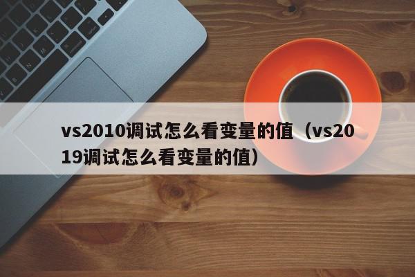 vs2010调试怎么看变量的值（vs2019调试怎么看变量的值）