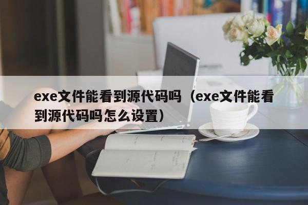 exe文件能看到源代码吗（exe文件能看到源代码吗怎么设置）