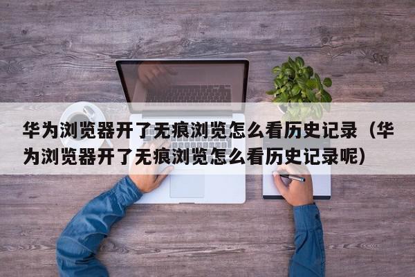 华为浏览器开了无痕浏览怎么看历史记录（华为浏览器开了无痕浏览怎么看历史记录呢）,华为浏览器开了无痕浏览怎么看历史记录,信息,文章,账号,第1张