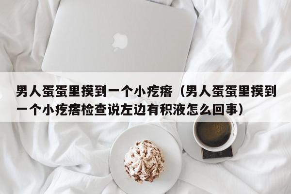 男人蛋蛋里摸到一个小疙瘩（男人蛋蛋里摸到一个小疙瘩检查说左边有积液怎么回事）,男人蛋蛋里摸到一个小疙瘩,信息,文章,科技,第1张