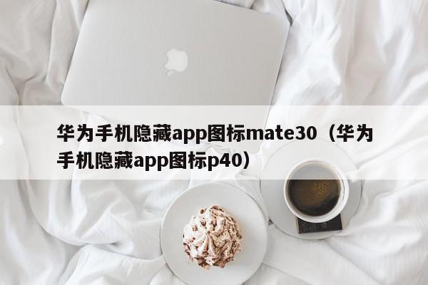 华为手机隐藏app图标mate30（华为手机隐藏app图标p40）