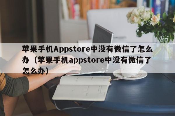 苹果手机Appstore中没有微信了怎么办（苹果手机appstore中没有微信了怎么办）,苹果手机Appstore中没有微信了怎么办,信息,文章,微信,第1张