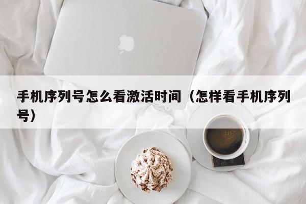 手机序列号怎么看激活时间（怎样看手机序列号）