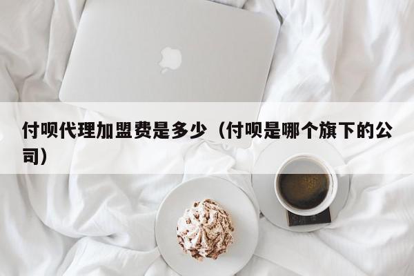 付呗代理加盟费是多少（付呗是哪个旗下的公司）,付呗代理加盟费是多少,信息,视频,微信,第1张