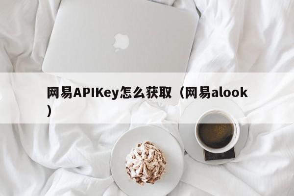 网易APIKey怎么获取（网易alook）