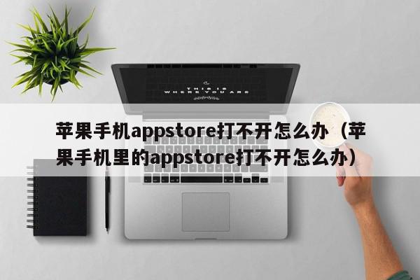 苹果手机appstore打不开怎么办（苹果手机里的appstore打不开怎么办）,苹果手机appstore打不开怎么办,信息,文章,账号,第1张