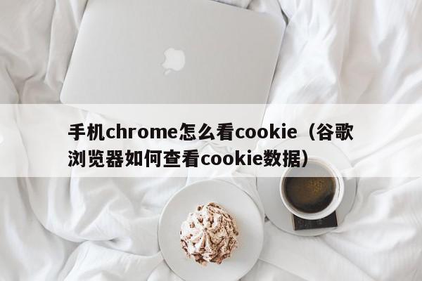 手机chrome怎么看cookie（谷歌浏览器如何查看cookie数据）