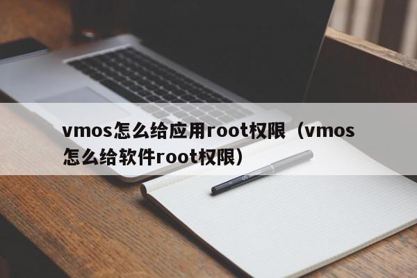 vmos怎么给应用root权限（vmos怎么给软件root权限）