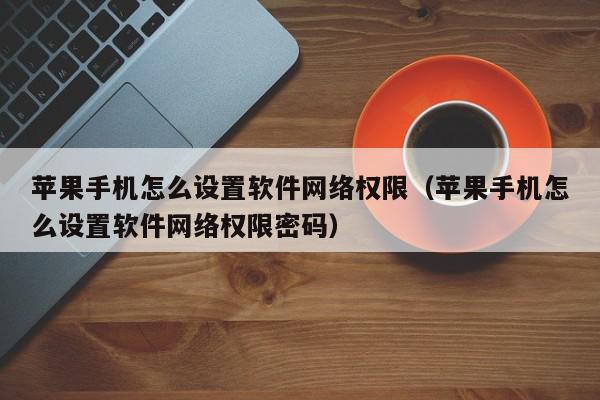 苹果手机怎么设置软件网络权限（苹果手机怎么设置软件网络权限密码）