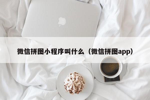微信拼图小程序叫什么（微信拼图app）,微信拼图小程序叫什么,信息,文章,视频,第1张